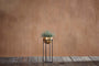 Atsu Brass Planter Stand
