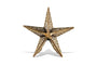 Bishakha Star Tree Topper
