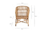 Nesari Rattan Armchair