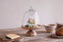 Kannati Mango Wood & Glass Cheese Stand - Clear-Trade nkuku