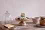 Kannati Mango Wood & Glass Cheese Stand - Clear-Trade nkuku