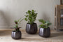 Maliki Plant Pot - Aged Bronze