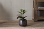 Maliki Plant Pot - Aged Bronze