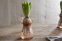 Enir Hyacinth Vase - Dusty Terracotta
