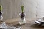 Enir Hyacinth Vase - Clear