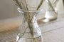 Bapti Bud Vases - Clear