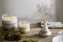 Sea Salt & Moss Reed Diffuser