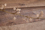 Tanu Mango Wood Beaded Garland - Brass & Natural