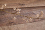 Tanu Mango Wood Beaded Garland - Brass & Natural