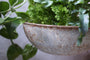 Abari Round Hanging Planter