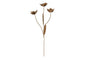 nkuku CHRISTMAS DECORATIONS San Stem Floral - Antique Brass