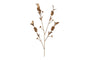 nkuku CHRISTMAS DECORATIONS San Stem Foliage - Antique Brass