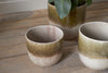 Almeida Reactive Glaze Plant Pot - Olive & Natural
