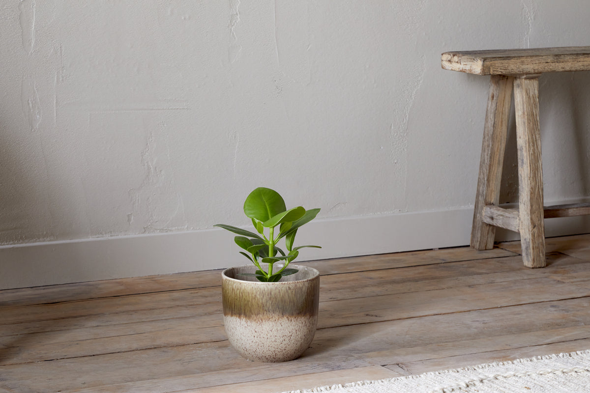 Almeida Reactive Glaze Plant Pot - Olive & Natural
