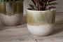 Almeida Reactive Glaze Plant Pot - Olive & Natural