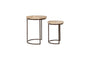 Aasha Carved Mango Wood & Iron Nesting Side Tables - Natural - (Set of 2)-Trade nkuku