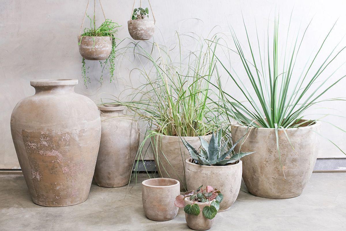 Affiti Clay Planter - Medium