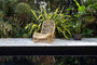 Arlia Rattan Lounger