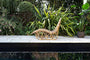 Arlia Rattan Lounger