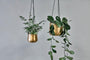Atsu Brass Hanging Planter