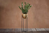 Atsu Brass Planter Stand