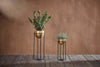 Atsu Brass Planter Stand