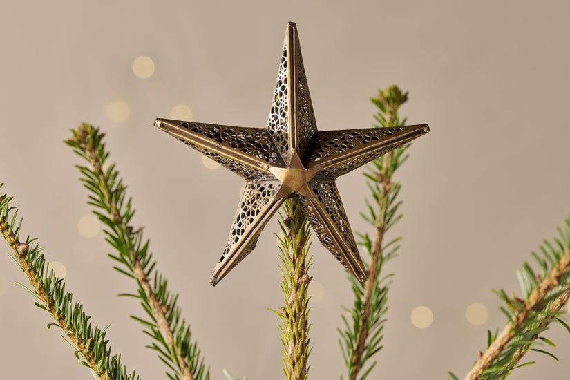 Bishakha Star Tree Topper