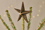 Bishakha Star Tree Topper