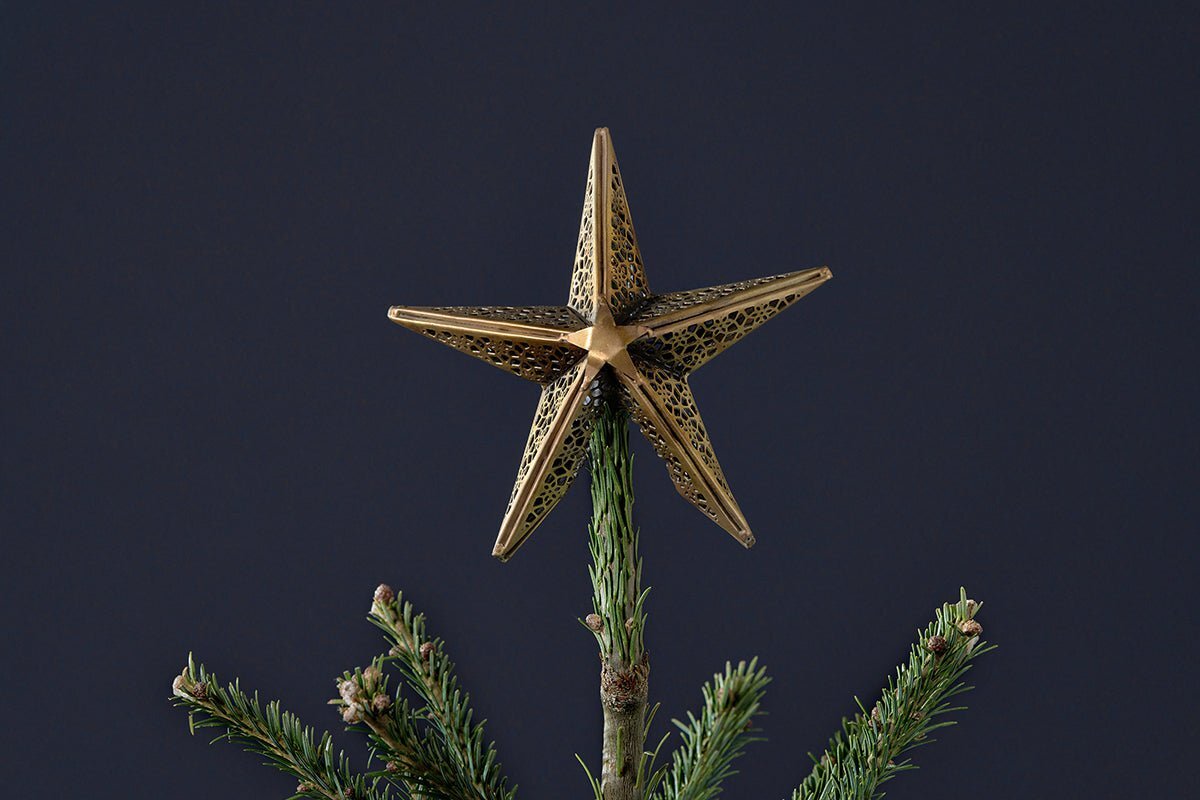 Bishakha Star Tree Topper