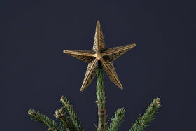 Bishakha Star Tree Topper