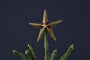 Bishakha Star Tree Topper