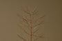 Charida Base Wire Tree - Brass - Extra Large