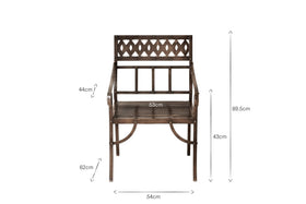 Bahula Decorative Iron Chair