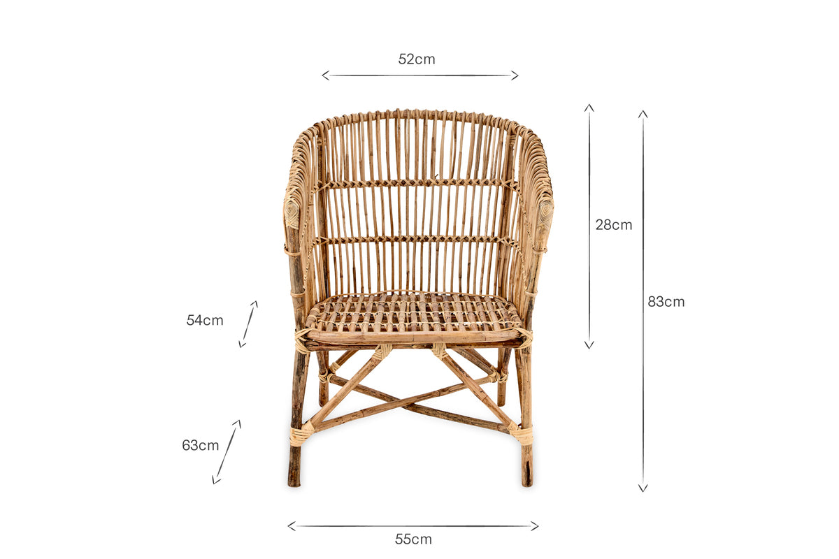 Nesari Rattan Armchair