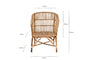 Nesari Rattan Armchair