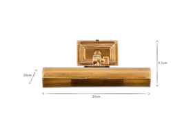 Pania Picture Wall Light