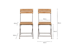 Rishikesh Reclaimed Wood & Iron Folding Chairs - (Set of 2)