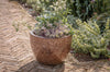 Dunai Terracotta Planter - Brown-Trade nkuku