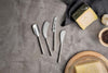 Darsa Cheese Knife Set - Brushed Silver (Set of 4)