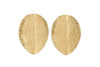 Darshana Earrings - Gold