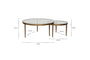 Jiya Iron & Glass Nested Coffee Tables - Brass