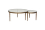 Jiya Iron & Glass Nested Coffee Tables - Brass