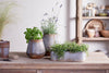 Japos Outdoor Planter Tray - Aged Zinc-Trade nkuku