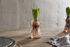 Enir Hyacinth Vase - Dusty Terracotta