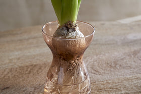 Enir Hyacinth Vase - Dusty Terracotta
