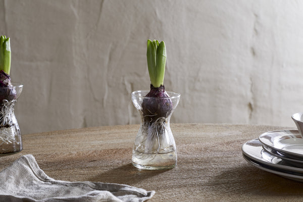 Enir Hyacinth Vase - Clear