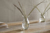Bapti Bud Vases - Clear
