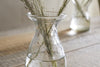 Bapti Bud Vases - Clear