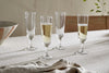 Pani Champagne Flute - Clear