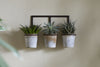 Tukana Triple Wall Hung Planter - Zinc